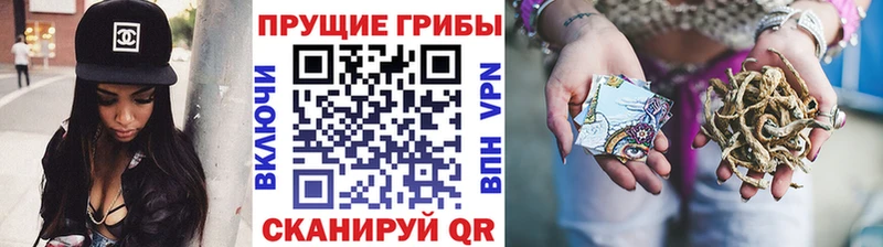 Галлюциногенные грибы прущие грибы  где купить   Павлово 