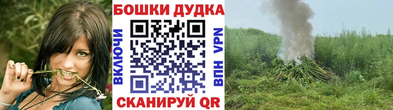 блэк спрут рабочий сайт Павлово это официальный сайт МАРИХУАНА SATIVA & INDICA
